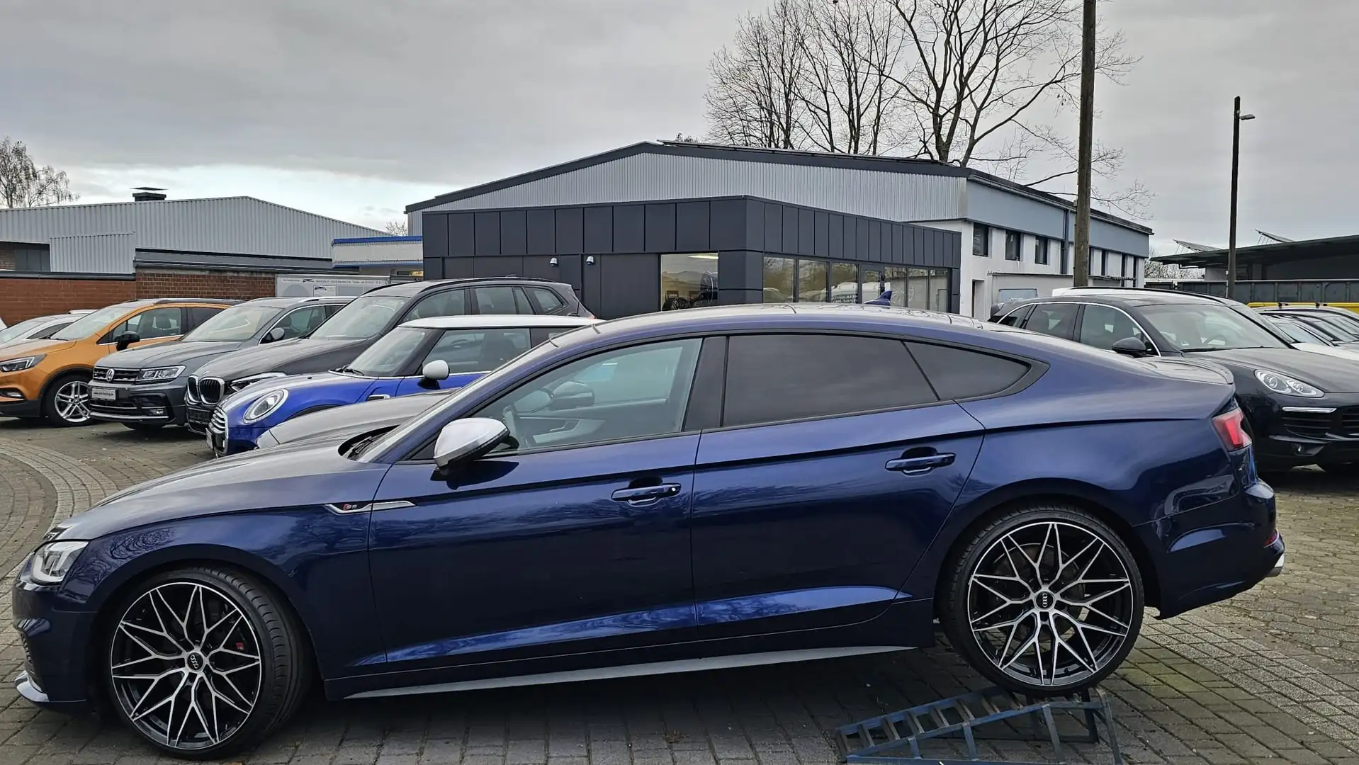Audi S5 3.0 TDI quattro Dynamiklenkung Panorama Blau - 2