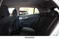 Kia Sportage 1.6 48V T-Leder Skey LED SHZ LHZ AKTION Fehér - thumbnail 9
