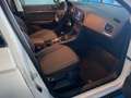 SEAT Ateca 1.6TDI CR S&S Ecomotive Style Blanco - thumbnail 9