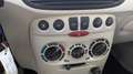 Fiat Punto 1.2 aus 1.Hand / erst 38`Tkm / Tüv 1/27 Gold - thumbnail 13