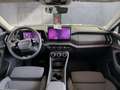 Skoda Kodiaq Selection TSI mHEV DSG Grau - thumbnail 6