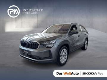 Selection TSI mHEV DSG
