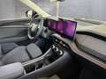 Skoda Kodiaq Selection TSI mHEV DSG Grau - thumbnail 7