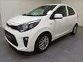 Kia Picanto 1.2 Edition Radio|Klima|USB|ZV Weiß - thumbnail 3