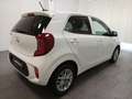 Kia Picanto 1.2 Edition Radio|Klima|USB|ZV Weiß - thumbnail 5