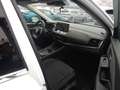 Nissan Qashqai 3ª serie MHEV 158 CV Xtronic Acenta Weiß - thumbnail 13