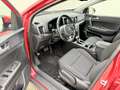 Kia Sportage Sportage CRDI ISG DCT  Automatik Rot - thumbnail 7