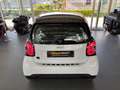 smart forTwo EQ Coupe Exclusive 22kw GJR RfKam CarPlay Blanc - thumbnail 6