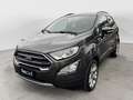 Ford EcoSport 1.0 EcoBoost 125 CV Start&Stop Titanium Grijs - thumbnail 1