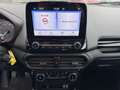 Ford EcoSport 1.0 EcoBoost 125 CV Start&Stop Titanium Grijs - thumbnail 17