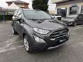 Ford EcoSport 1.0 EcoBoost 125 CV Start&Stop Titanium Grijs - thumbnail 6