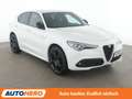 Alfa Romeo Stelvio 2.2 JTDM Veloce Q4 Aut*NAVI*XENON*ACC*CAM*PDC*SHZ* Weiß - thumbnail 8