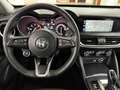 Alfa Romeo Stelvio 2.2 TD 190 CV EXECUTIVE 19" APPENA TAGLIANDATA Gris - thumbnail 8