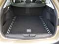 Peugeot 308 SW 1.6 BlueHDI 88kW Executive CLIMA PANO **5999 NE Yellow - thumbnail 10