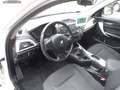 BMW 114 i Lim. 5-trg./Klima/SHZ/nur 54700 km/wie neu Blanc - thumbnail 13