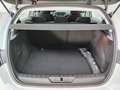 Peugeot 308 308 BlueHDi 130 S&S Active Bianco - thumbnail 12
