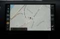 Land Rover Range Rover Evoque Evoque 1.5PHEV Hoxton DAB Schwarz - thumbnail 31