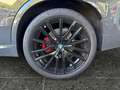 BMW X5 xDrive30d M Sportpaket Gestiksteuerung DAB Grau - thumbnail 10