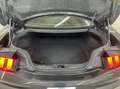 Ford Mustang 2.3 EcoBoost Autom "IN ARRIVO OPZINABILE" Gris - thumbnail 17
