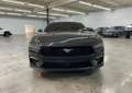 Ford Mustang 2.3 EcoBoost Autom "IN ARRIVO OPZINABILE" Gris - thumbnail 3