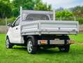 Regis Epic0 Cassone Bianco - thumbnail 5