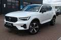 Volvo XC40 B4 DKG Ultra Dark*PANO*360°*ACC*AHK Weiß - thumbnail 1