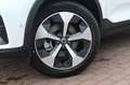 Volvo XC40 B4 DKG Ultra Dark*PANO*360°*ACC*AHK Weiß - thumbnail 11