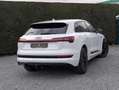 Audi Q8 e-tron !verkocht! - 2x s-line - opendak- trekhaak - 360 Alb - thumbnail 2