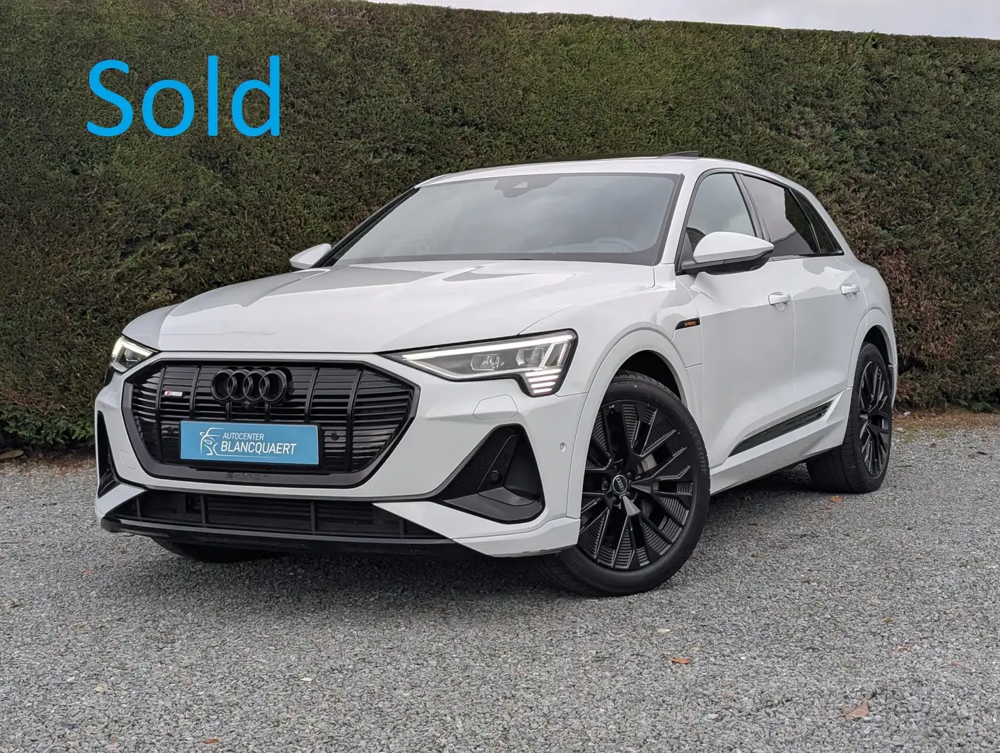 Audi Q8 e-tron !verkocht! - 2x s-line - opendak- trekhaak - 360 Alb - 1