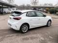 Opel Corsa Corsa 1.5 D 100 CV Edition Weiß - thumbnail 3