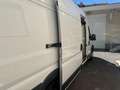 Fiat Ducato 35 2.3 MJT 130CV PLM-SL-TA Furgone Maxi 12500+IVA Blanc - thumbnail 7