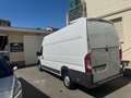 Fiat Ducato 35 2.3 MJT 130CV PLM-SL-TA Furgone Maxi 12500+IVA Blanc - thumbnail 6