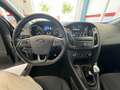 Ford Focus 1.5 Ecoboost ST Line 182 Gris - thumbnail 17