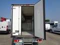 Renault Master CELLA FRIGO FRCX SC. 12/2024 White - thumbnail 9