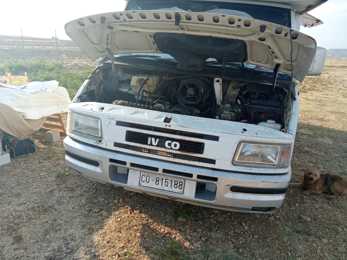 Iveco Daily Safaryways Amerigo Vespucci Blanc - 2