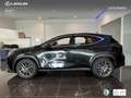 Lexus NX 450h+ Premium+ 4WD Zwart - thumbnail 13