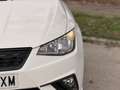 SEAT Ibiza 1.0 TSI S&S Style 95 Blanco - thumbnail 12