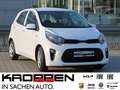 Kia Picanto Edition 7 DAB-Radio BT M+S-Allwetter Blanc - thumbnail 1