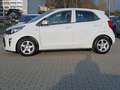 Kia Picanto Edition 7 DAB-Radio BT M+S-Allwetter Blanc - thumbnail 4