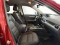 Mazda CX-5 2.2 Evolve 2wd 150cv auto Rosso - thumbnail 9