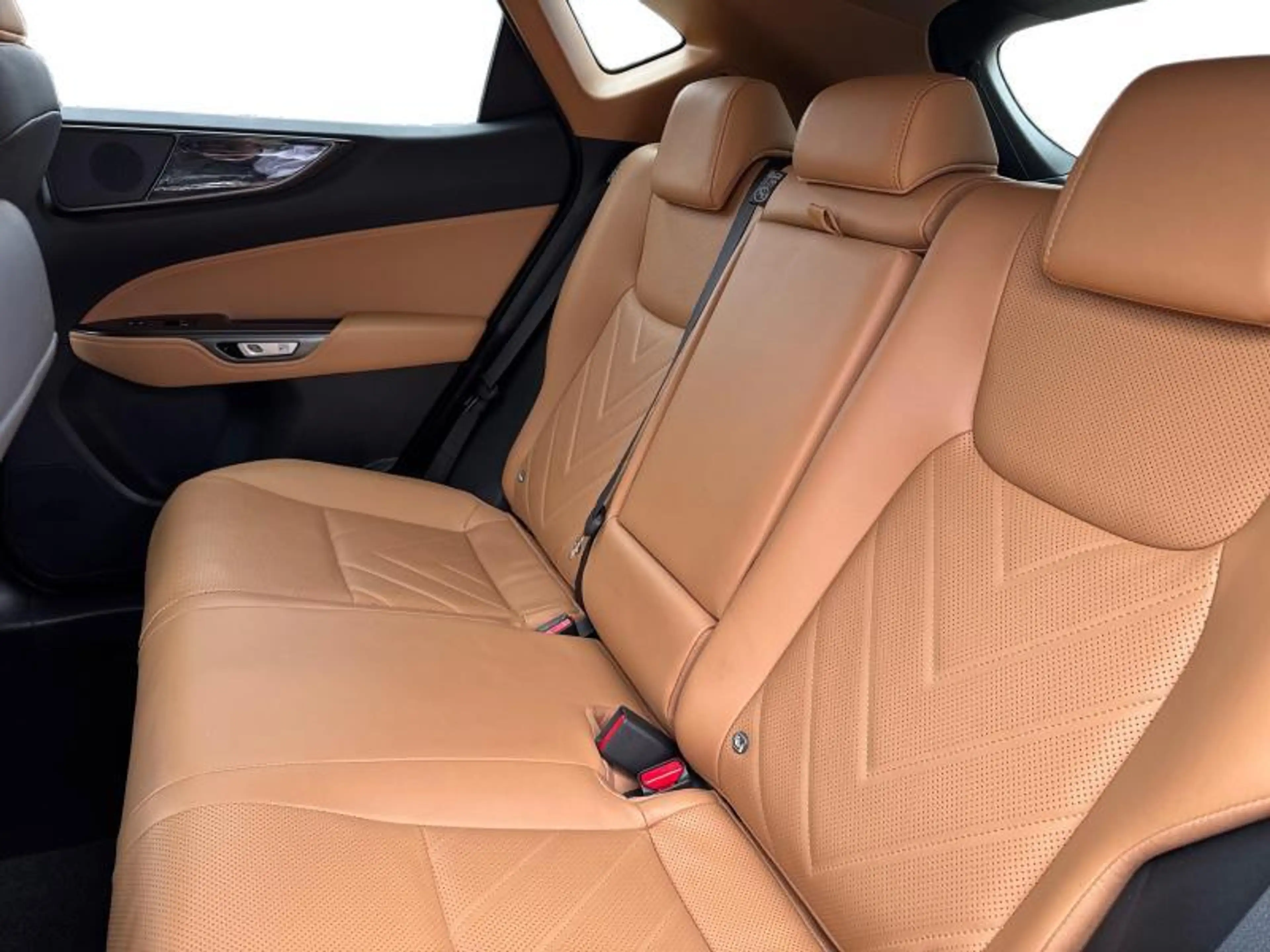Lexus NX 350h Executive Line — photo 10