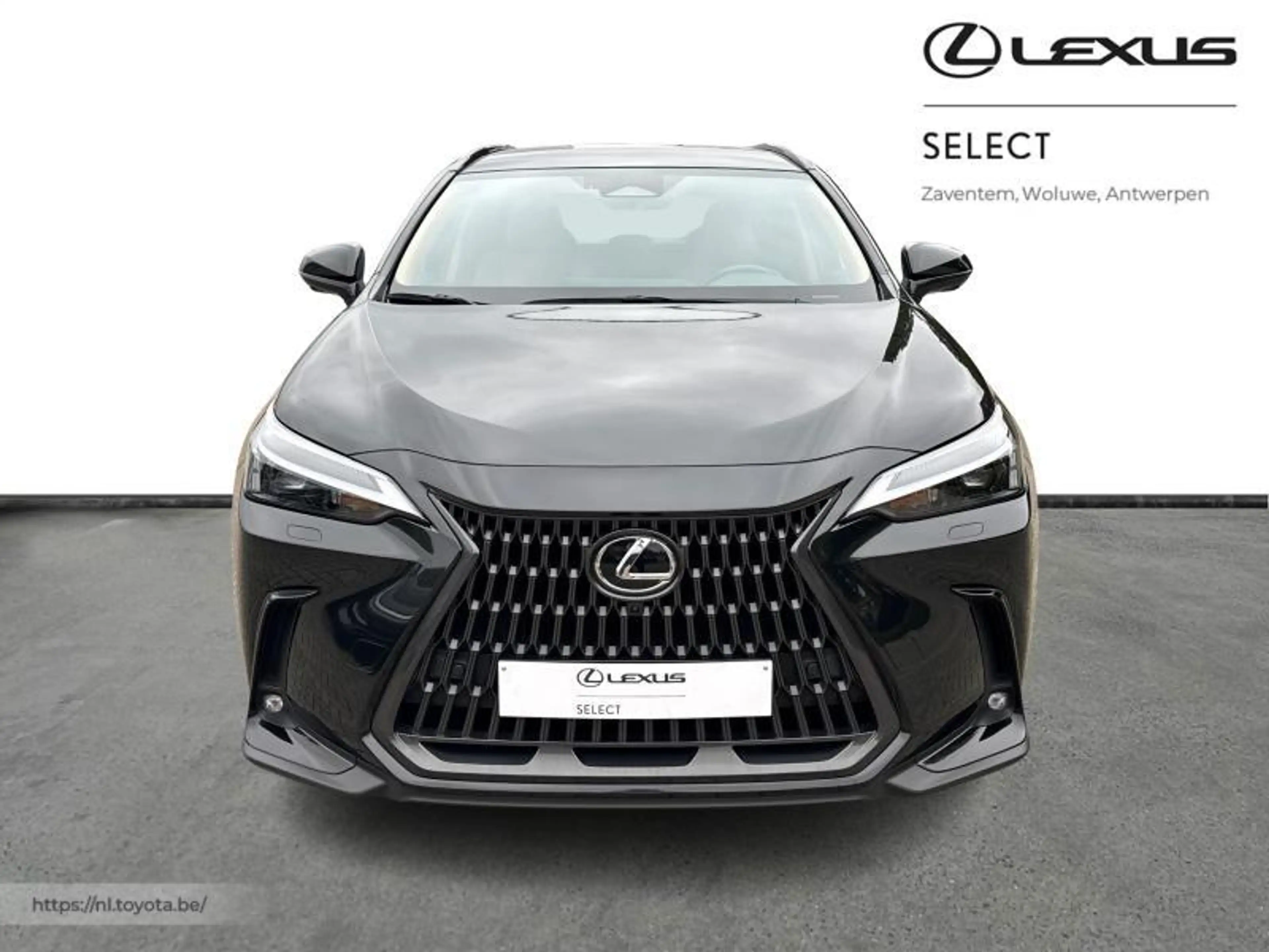 Lexus NX 350h Executive Line — photo 5