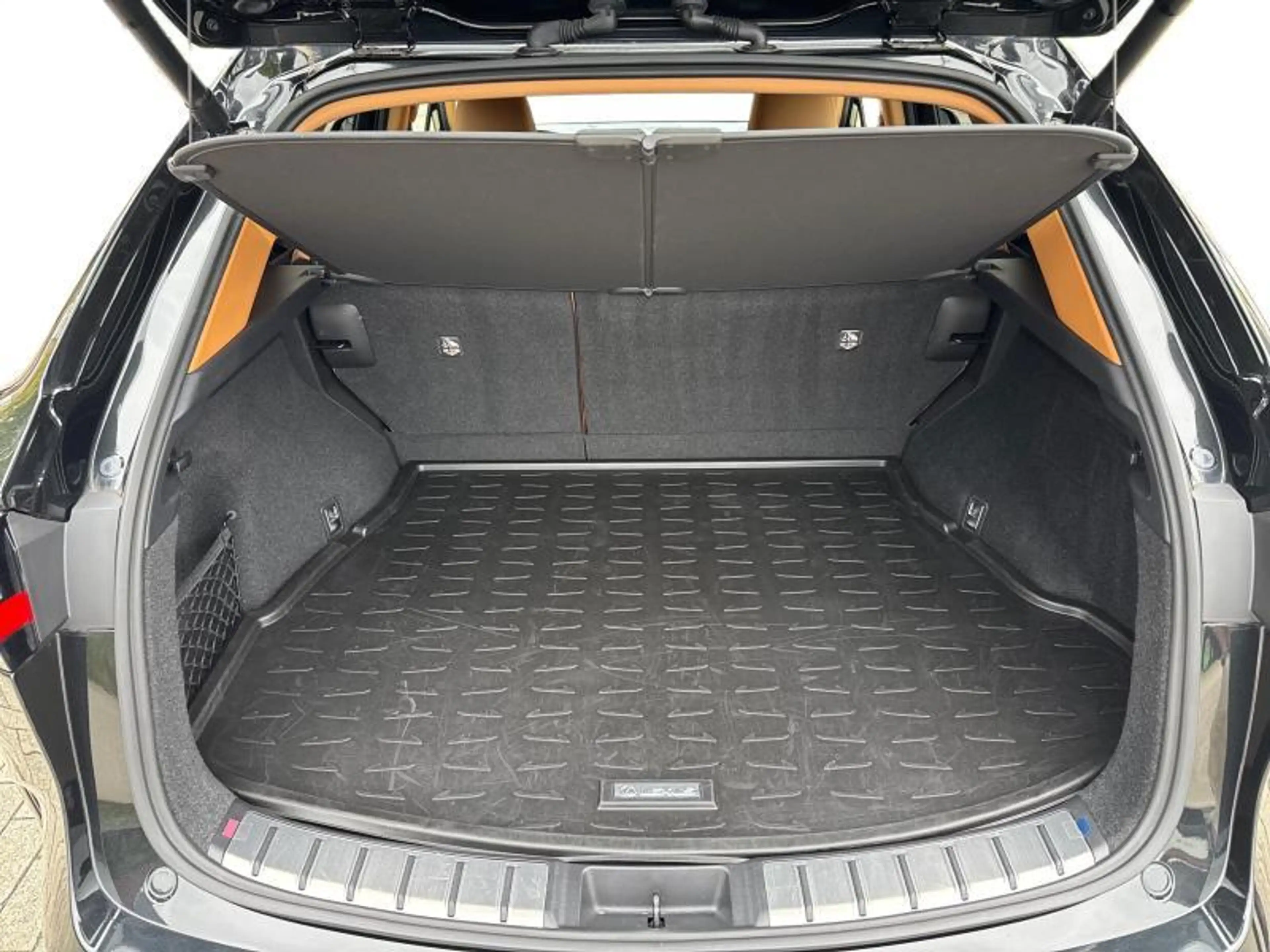 Lexus NX 350h Executive Line — photo 9