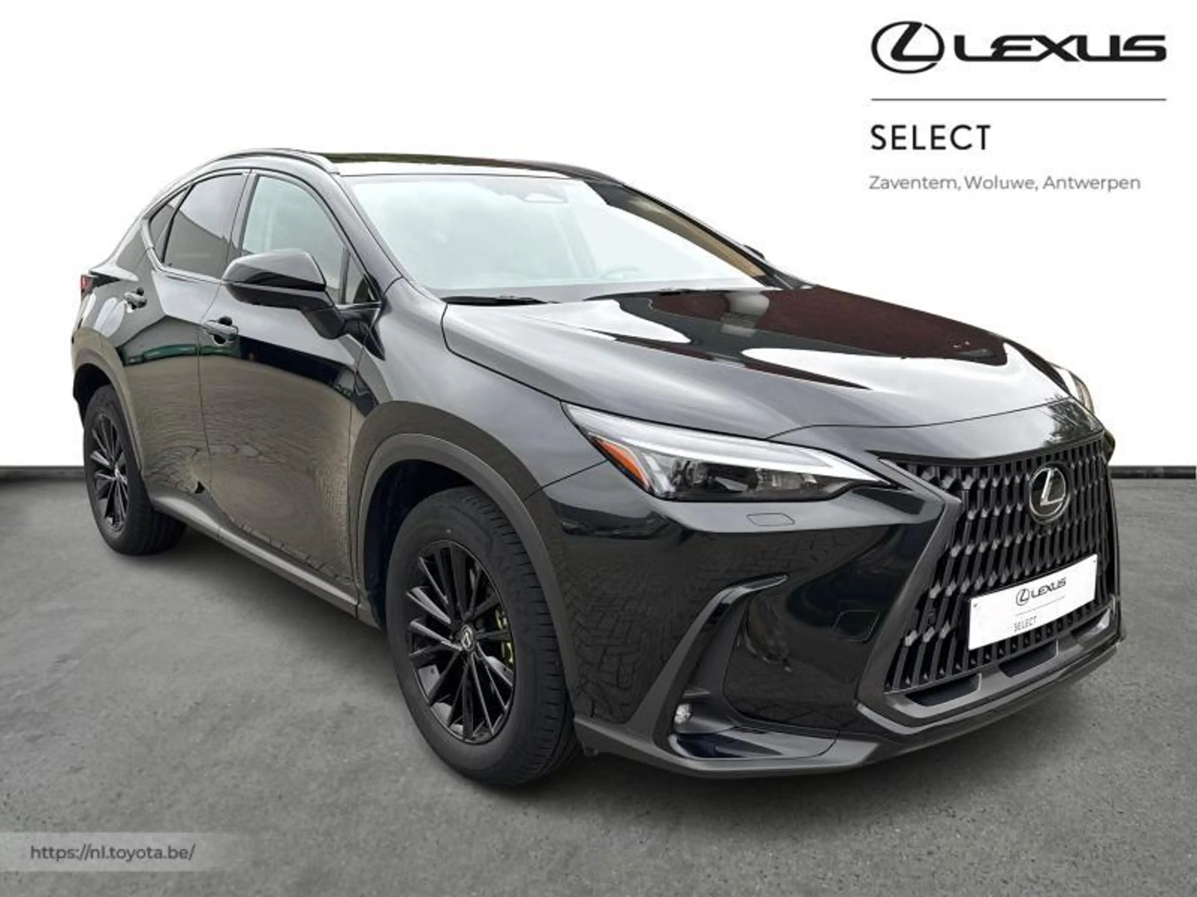 Lexus NX 350h Executive Line — photo 16