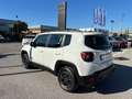 Jeep Renegade Renegade 1.0 T3 Longitude Bianco - thumbnail 3
