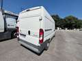 Fiat Ducato 33 L2H2 BLUEHDI 130CV - FK965NG Bianco - thumbnail 6