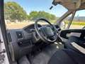 Fiat Ducato 33 L2H2 BLUEHDI 130CV - FK965NG Bianco - thumbnail 11