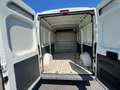 Fiat Ducato 33 L2H2 BLUEHDI 130CV - FK965NG Bianco - thumbnail 12