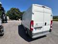 Fiat Ducato 33 L2H2 BLUEHDI 130CV - FK965NG Bianco - thumbnail 7