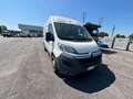 Fiat Ducato 33 L2H2 BLUEHDI 130CV - FK965NG Bianco - thumbnail 3